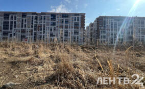 Жители Кудрово пожаловались на возгорания в полях