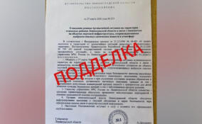 Губернатор Дрозденко опроверг фейки о введении режима ЧС
