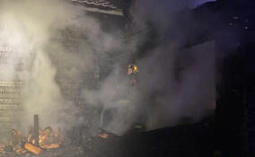 В Лесколовском поселении сгорел сарай