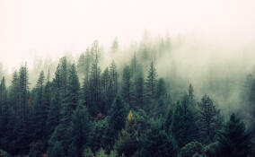 Во Всеволожском районе похолодает