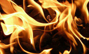 В Лесколовском поселении вспыхнула бытовка