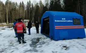 Всеволожские спасатели за восемь месяцев спасли 8 человек