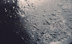 Во Всеволожском районе ожидается дождь