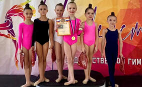 В Кудрово прошло первенство по художественной гимнастике «Весенние ласточки»