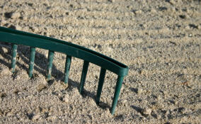 Жителей Янино и Кудрово пригласили на субботник