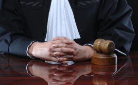 Во Всеволожске осудили мужчину за хищение 494 млн рублей у дольщиков