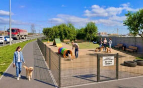 В Кудрово обустроят площадку для выгула собак