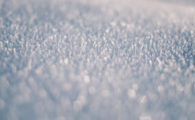 Во Всеволожском районе похолодает до -6 градусов