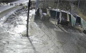 Во Всеволожске привели в порядок шесть контейнерных площадок