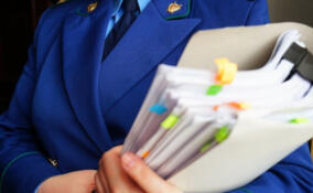 Прокуратура выявила нарушения в одной школ во Всеволожске