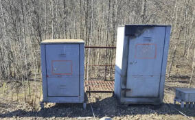 Подросток поджег шесть релейных шкафов в районе Токсово и Девяткино