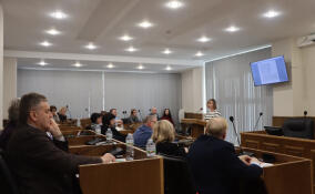 Десятки миллионов рублей потратят на благоустройство Заневского поселения