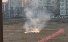 Неизвестные подожгли поле между Буграми и Мурино