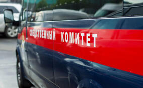 Жительницу Мурино привлекут к ответственности за оскорбление чувств верующих