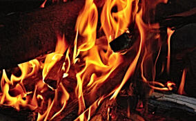 Два частных дома вспыхнули в коттеджном поселке