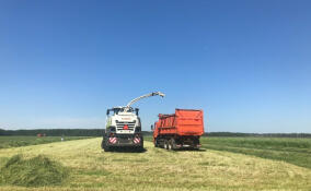 Во Всеволожском районе стартовали весенние полевые работы
