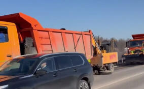 Во Всеволожском районе приступили к уборке дорог