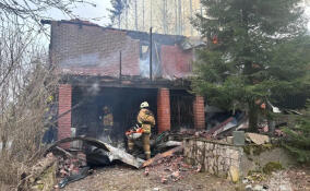 На месте пожара в СНТ под Буграми нашли тело человека
