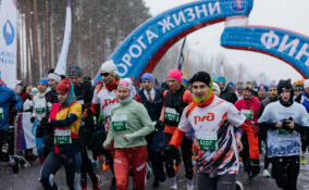 В конце января во Всеволожском районе пройдет марафон «Дорога Жизни»