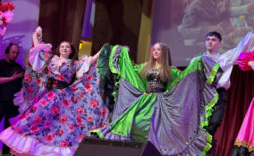 Во Всеволожске прошел фестиваль «Цыганское сердце России»