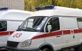 Подозрительная коробка взорвалась в руках жителя Мурино