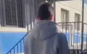 Полиция задержала подростка, рассекавшего на иномарке по газонам в Мурино