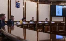 Отпраздновать Сабантуй в Энколово помогут власти Петербурга