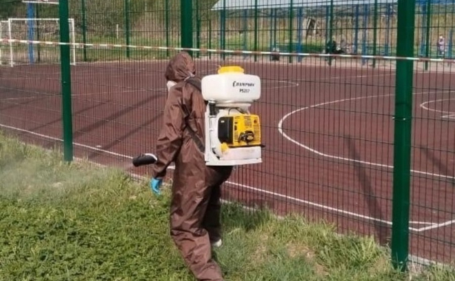 В Юкковском поселении будут обрабатывать общественные места от клещей