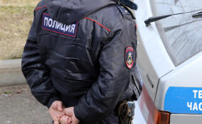 В Кузьмоловском задержали женщину с наркотиками