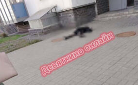 В Мурино обнаружили мертвую девушку