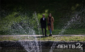 Во Всеволожском районе ожидаются небольшие дожди