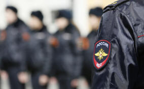 Житель Всеволожского района обокрал квартиру в Петербурге