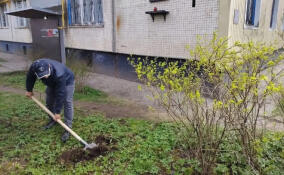 На улице Зеленой в Лупполово началось благоустройство территорий