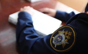 Мужчина предстанет перед судом за убийство во Всеволожске