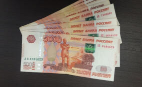 Всеволожского бизнесмена оштрафовали за найм бывшего полицейского без согласования с МВД