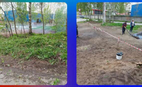 В Янино-2 ликвидировали стихийную свалку