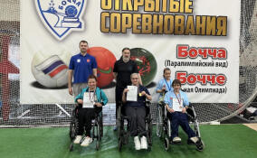 Всеволожцы выиграли медали на турнире по бочча