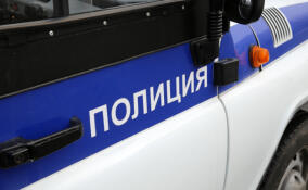 Мужчину задержали за кражу, совершенную в Мурино три года назад