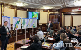 Градсовет принял и утвердил концепцию развития Романовского поселения