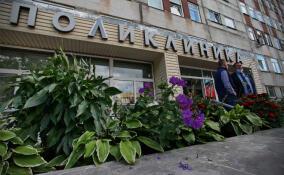 Дрозденко рассказал, когда в Янино откроют поликлинику