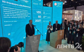 «Выборжец» увеличит производство салатов до 1260 т