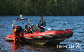 В Колтушском озере утонул 17-летний юноша