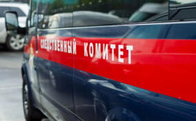 Возбуждено уголовное дело после утопления подростка в селе Павлово