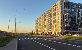 В Заневском поселении стартует масштабное обновление дороги