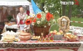 Турслет серебряных волонтеров дебютировал в Невской Дубровке