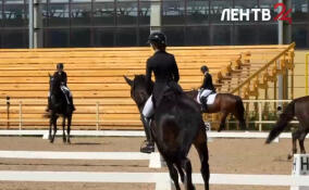 В Энколово стартовало первенство СЗФО по выездке