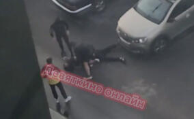 Шумная драка разбудила жителей Мурино