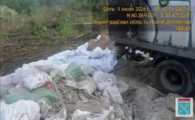 В Новом Девяткино у создателей незаконной свалки изъяли технику