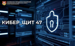 Проект «КиберЩит 47» из Заневского поселения выиграл грант
