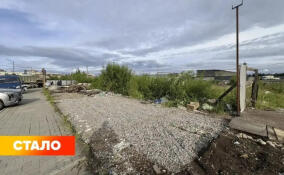 В Кудрово ликвидировали нелегальный мини-рынок